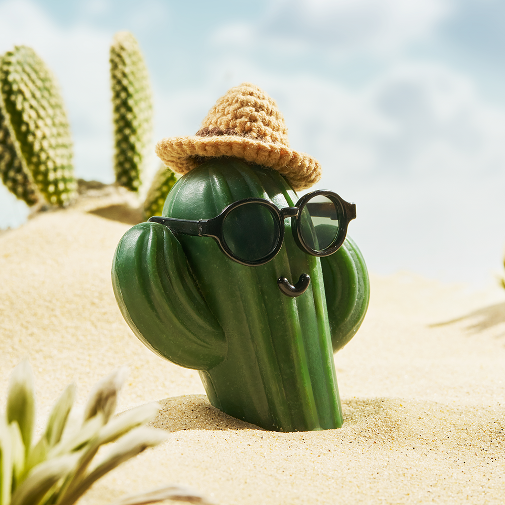 1000000454 detail 525