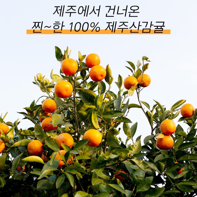 eca09ceca3bceab090eab7a4ecab80eb939dec9db4 ec8381ec84b8ed8e98ec9db4eca780 08