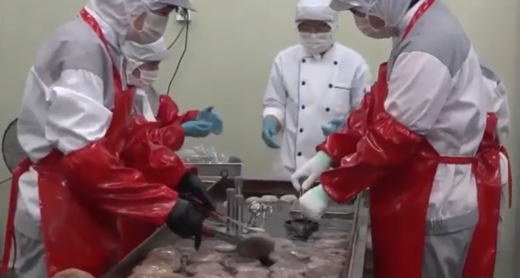 kakaotalk 20260309 174904466