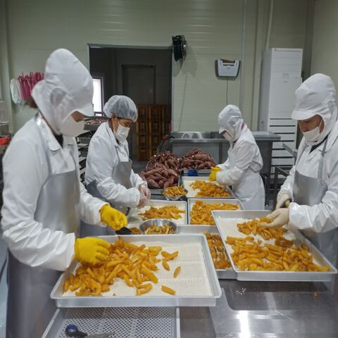 temp＿1612489982739.510515749001